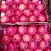 Shandong High Standard Paper Bagged FUJI Apple