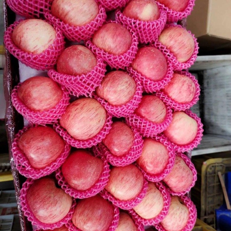 Shandong High Standard Paper Bagged FUJI Apple