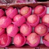 Shandong High Standard Paper Bagged FUJI Apple