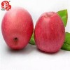 Shandong High Standard Paper Bagged FUJI Apple