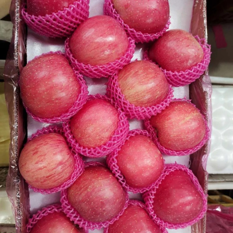 Shandong High Standard Paper Bagged FUJI Apple
