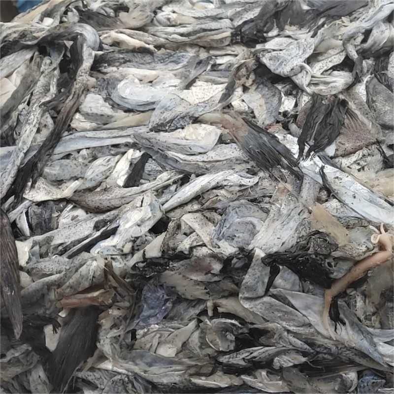 Fish Protein Hydrolysate for Cat Food with Super Palatability