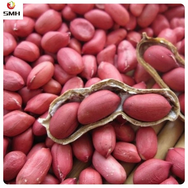 Export Best Quality Chinese Peanut Kernel