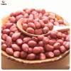 Export Best Quality Chinese Peanut Kernel