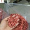 Export Best Quality Chinese Peanut Kernel