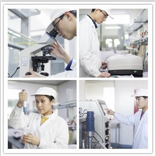 Food Supplement Water Soluble Corn Fiber Functional Prebiotic Isomalto-Oligosaccharide Powder