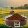 100% Water Soluble Plant Fulvic Acid Powder as Foliar Spraying