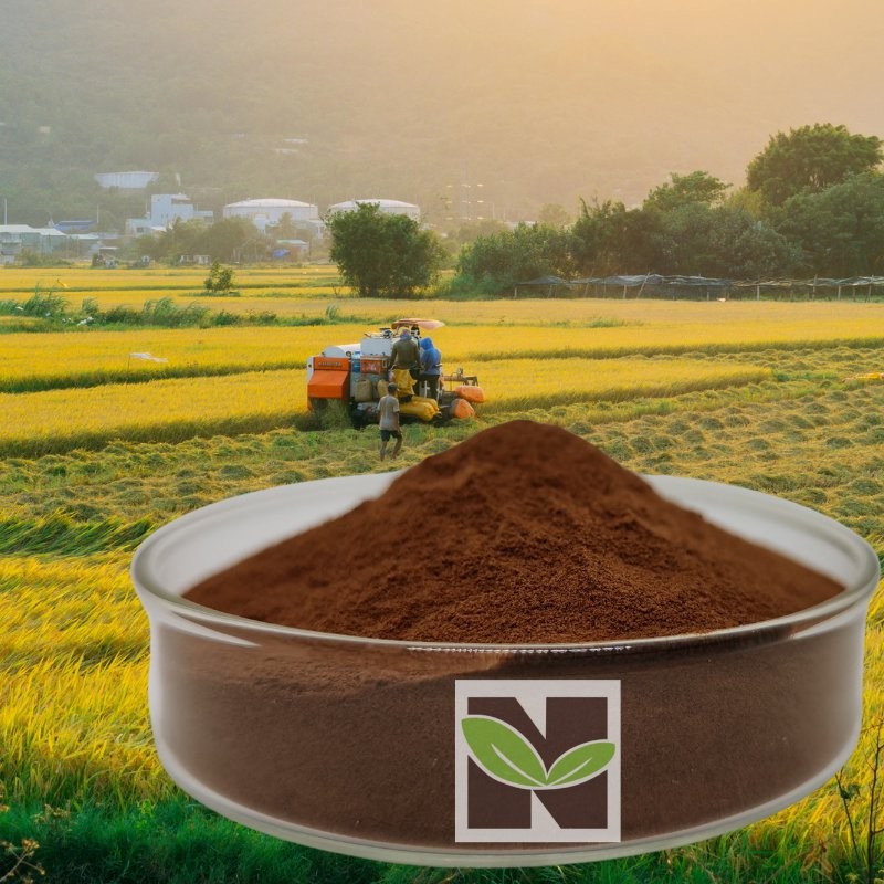 100% Water Soluble Plant Fulvic Acid Powder as Foliar Spraying