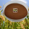 100% Water Soluble Plant Fulvic Acid Powder as Foliar Spraying