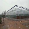 Wind-Resistant Wholesale Easy Installation Climate Control Greenhouse for Flower Production