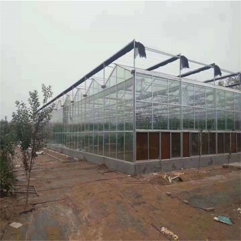 Wind-Resistant Wholesale Easy Installation Climate Control Greenhouse for Flower Production