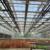 Wind-Resistant Wholesale Easy Installation Climate Control Greenhouse for Flower Production