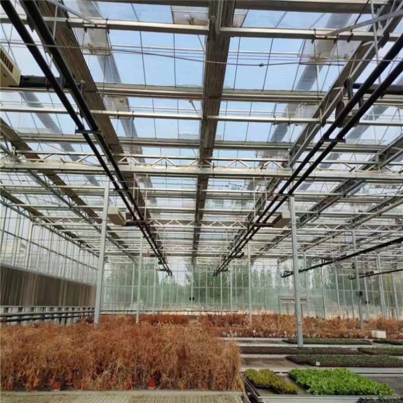 Wind-Resistant Wholesale Easy Installation Climate Control Greenhouse for Flower Production