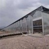 Wind-Resistant Wholesale Easy Installation Climate Control Greenhouse for Flower Production