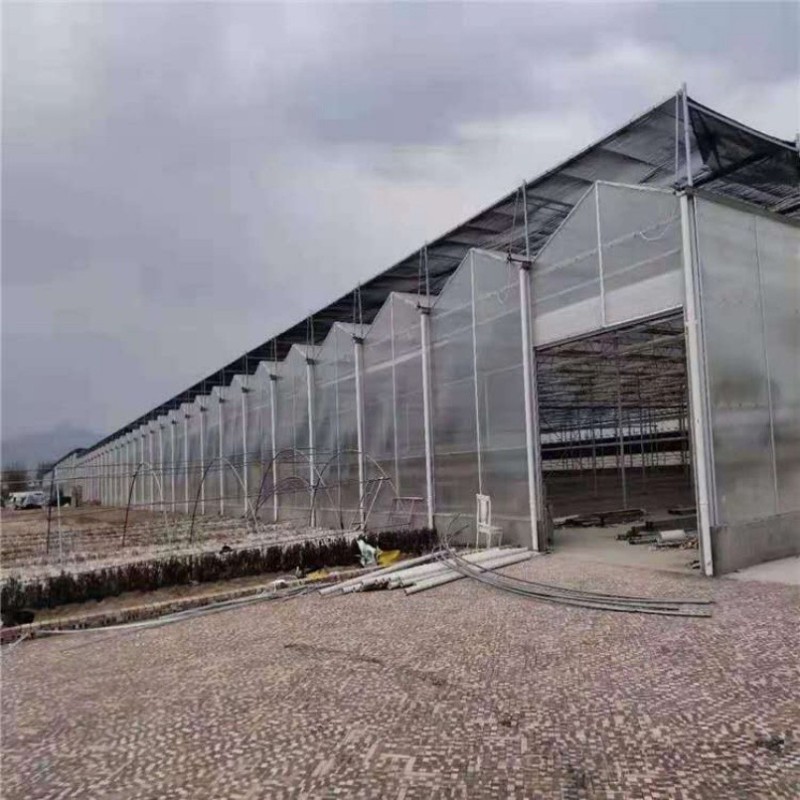 Wind-Resistant Wholesale Easy Installation Climate Control Greenhouse for Flower Production