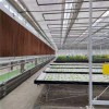 Wind-Resistant Wholesale Easy Installation Climate Control Greenhouse for Flower Production