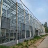 Wind-Resistant Wholesale Easy Installation Climate Control Greenhouse for Flower Production