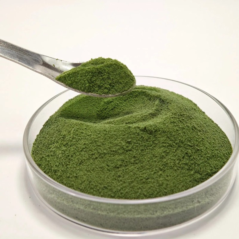 Factory Organic Green Natural Seaweed Extract Fertilizer with NPK for Foliar Spray