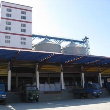 Meat and Bone Meal Meat Bone Meal