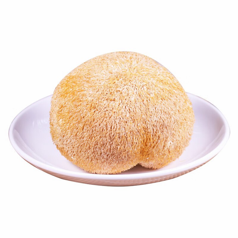 Nutritious Dry Hericium Erinaceus Mushrooms for Health Enthusiasts