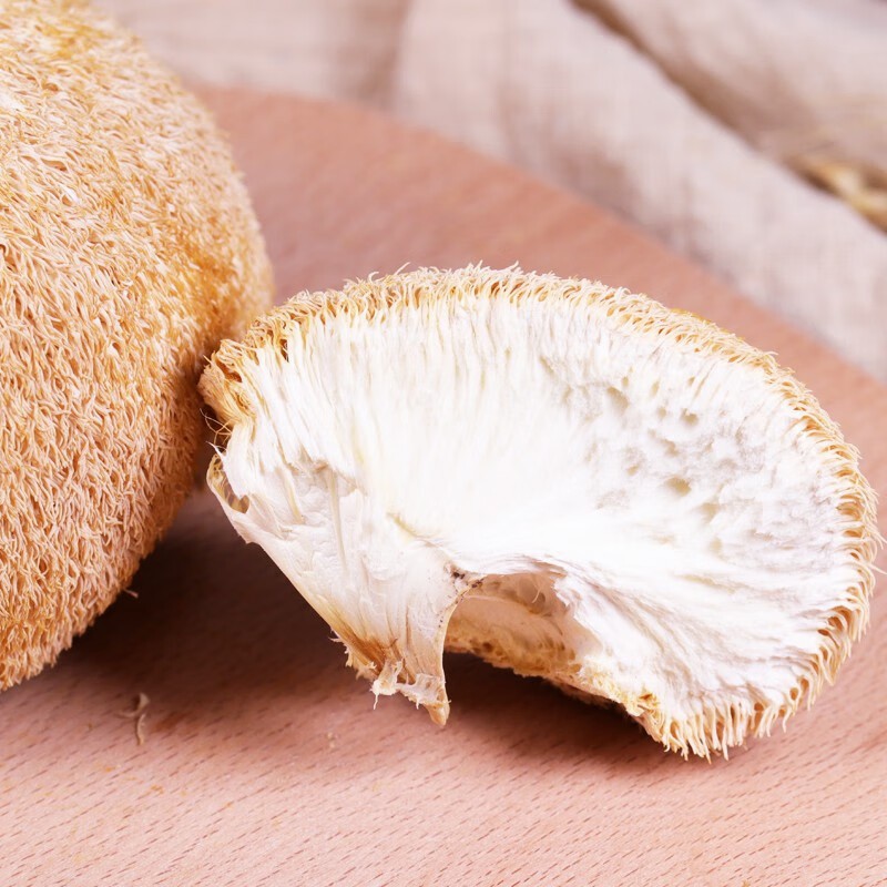 Nutritious Dry Hericium Erinaceus Mushrooms for Health Enthusiasts