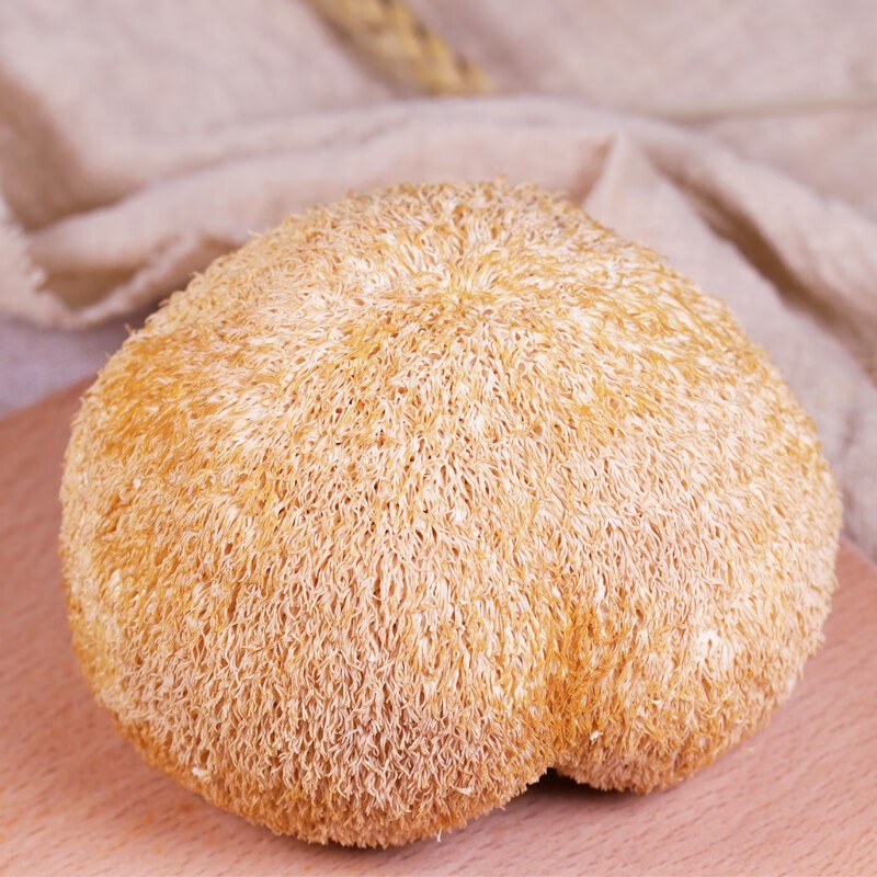 Nutritious Dry Hericium Erinaceus Mushrooms for Health Enthusiasts