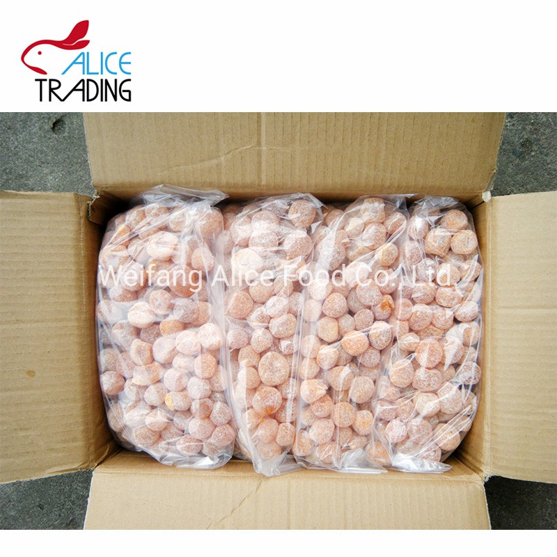 Preserved Kumquat Price Dried Kumquat Crystallized Kumquat in Bulk