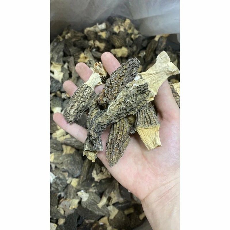 Special Price Dried Morel Mushroom, Premium Quality, Factory Direct Sale China