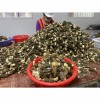 Special Price Dried Morel Mushroom, Premium Quality, Factory Direct Sale China