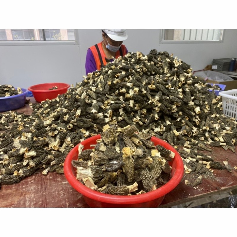Special Price Dried Morel Mushroom, Premium Quality, Factory Direct Sale China