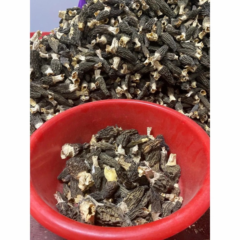 Special Price Dried Morel Mushroom, Premium Quality, Factory Direct Sale China