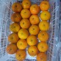Fresh Navel Orange, Sweet and High-Quality Mandarin. China Fresh Mandarin Premium Quality Wogan Mandarin