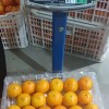 Fresh Navel Orange, Sweet and High-Quality Mandarin. China Fresh Mandarin Premium Quality Wogan Mandarin