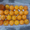Fresh Navel Orange, Sweet and High-Quality Mandarin. China Fresh Mandarin Premium Quality Wogan Mandarin