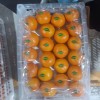 Fresh Navel Orange, Sweet and High-Quality Mandarin. China Fresh Mandarin Premium Quality Wogan Mandarin