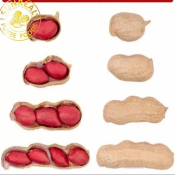 Red Skin/Raw Peanut in Shell/Sunreal/Best Color