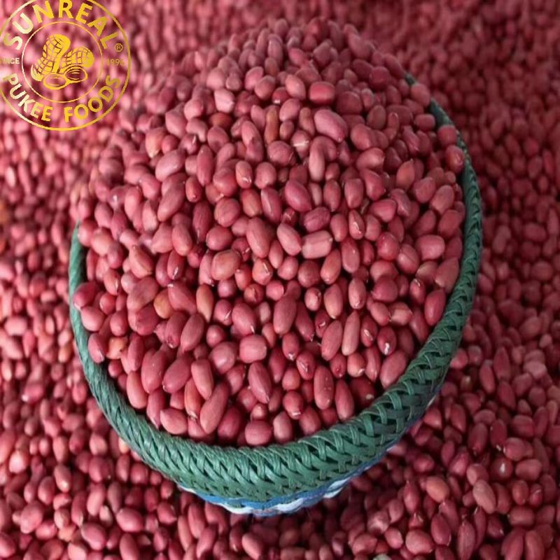 Red Skin/Raw Peanut in Shell/Sunreal/Best Color