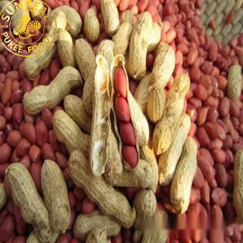 Red Skin/Raw Peanut in Shell/Sunreal/Best Color