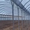 Sturdy Multi-Span Film Greenhouse for Year-Round Agricultural Use