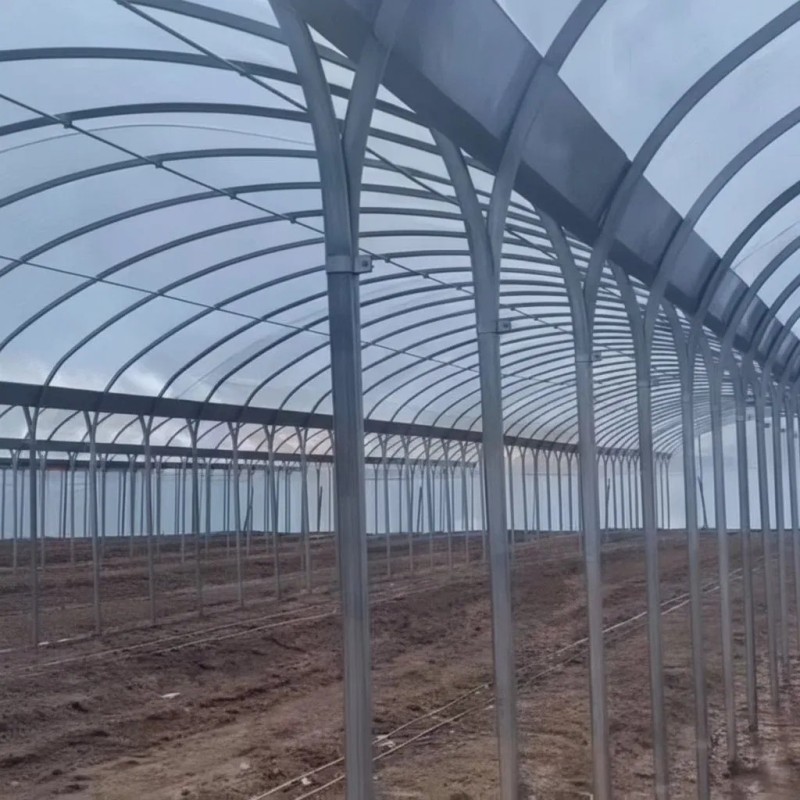 Sturdy Multi-Span Film Greenhouse for Year-Round Agricultural Use