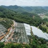 Sturdy Multi-Span Film Greenhouse for Year-Round Agricultural Use