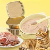 Wet Healthy Nutrition OEM/ODM Free Sample Pet Canned Food