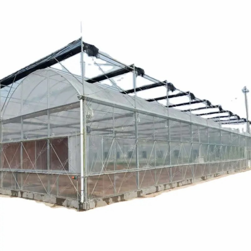 Agriculture Frame High-Quality Film Greenhouse Tomato and Vegetable Seeds for Sale