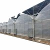 Agriculture Frame High-Quality Film Greenhouse Tomato and Vegetable Seeds for Sale