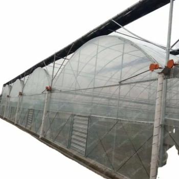 Agriculture Frame High-Quality Film Greenhouse Tomato and Vegetable Seeds for Sale