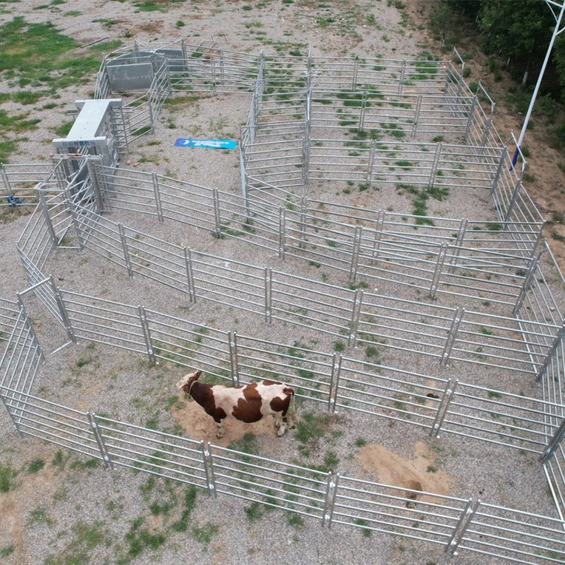 Cheap Livestock Shed Cattle Pen
