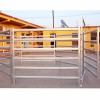 Cheap Livestock Shed Cattle Pen