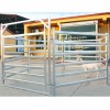 Cheap Livestock Shed Cattle Pen