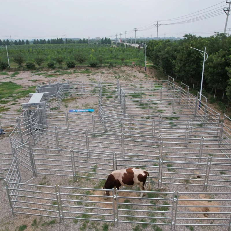 Cheap Livestock Shed Cattle Pen