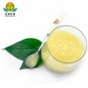 GMP Manufacturer Supply Organic Fresh Royal Jelly